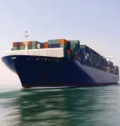 包含樊振东赛况扑朔迷离冲上热搜的词条